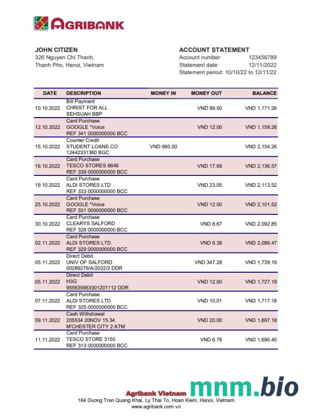 Szablon wyciągu bankowego Vietnam Agribank w formacie Word i PDF